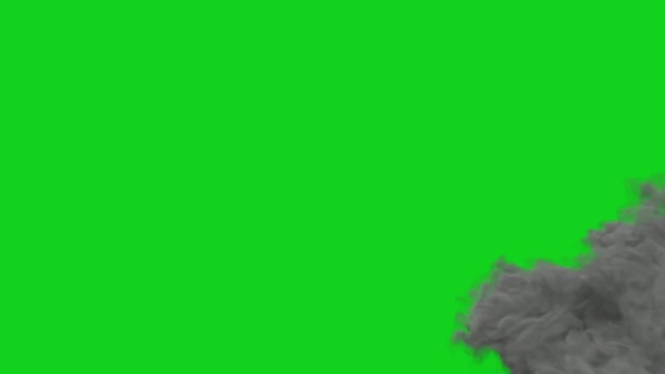 Nebbia Premium Qualità Video Schermo Verde Animazione Ultra Alta Definizione — Video Stock