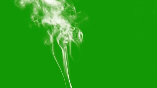 Fog Wysokiej Jakości Zielony Ekran Wideo Animacja Ultra High Definition — Wideo stockowe