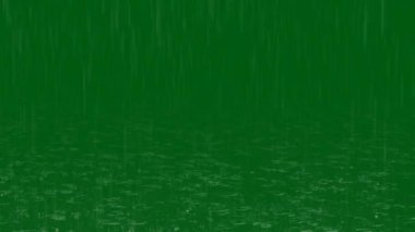 Rain Güz 3D Animasyonu, Ultra Yüksek Çözünürlük, 4k video Yeşil ekran arkaplanındaki video elemanı, Ultra Yüksek Tanımlama, 4k video. Yeşil ekran arka planında yağmur. 4K Hareket grafikleri. Ben iyi bir fotoğrafçıyım. Çok fazla animasyonum var. 