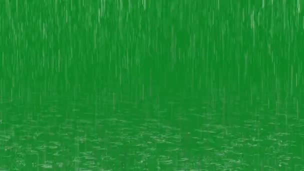 雨降3D动画 超高清晰度 4K视频绿色屏幕背景的视频元素 超高清晰度 4K视频 雨落在绿色的屏幕背景上 4K运动图形 我是个好摄影师 我的动画太多了 — 图库视频影像