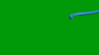 Yılan animasyonu video yeşil ekran, 3D animasyon, Ultra Yüksek Çözünürlük, 4k video 