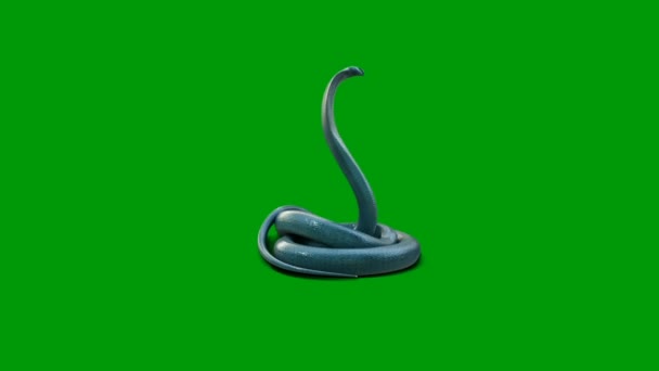 Snake Animace Video Zelená Obrazovka Animace Ultra Vysoké Rozlišení Video — Stock video