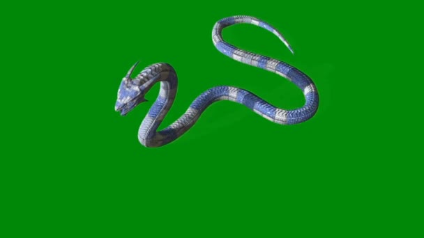 Snake Animace Video Zelená Obrazovka Animace Ultra Vysoké Rozlišení Video — Stock video