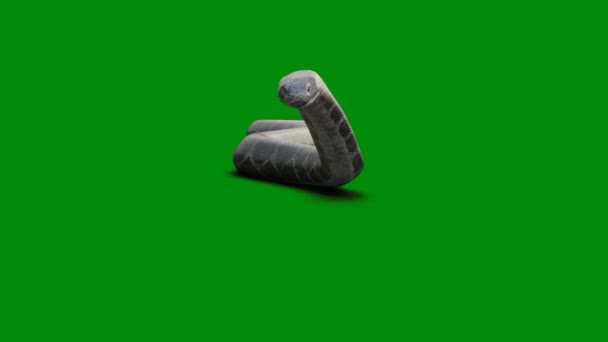 Зеленый Экран Анимационного Видео Snake Animation Ультравысокое Разрешение Видео — стоковое видео