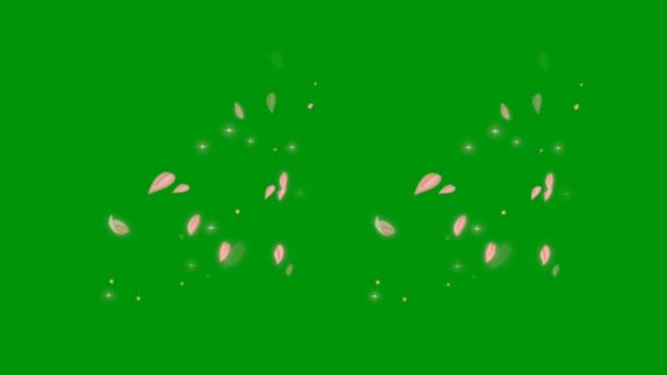 Glitter Groen Scherm Video Animatie Ultra High Definition Video Video — Stockvideo