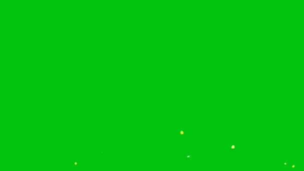 Video Element Green Screen Background Ultra High Definition Video Countdown — Stock Video