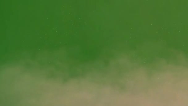 Polvere Sabbia Animazione Schermo Verde Vfx Animazione Schermo Verde Tecnologia — Video Stock