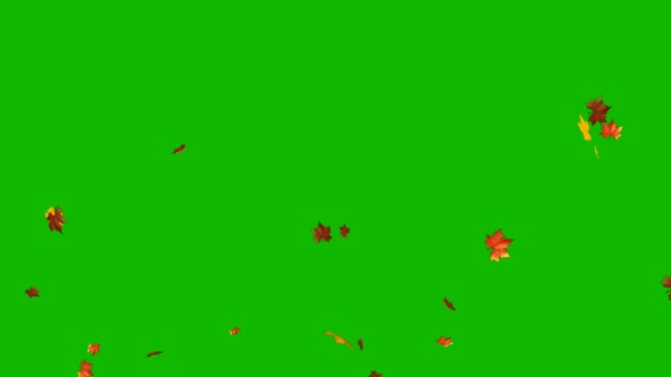 Foglie Autunno Che Cadono Sfondo Verde Chromakey Animato Verde Screen — Video Stock