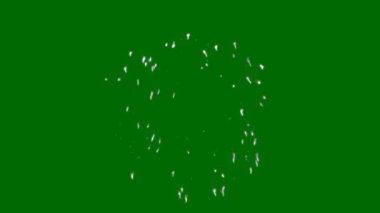 Kutlamalar için Yeşil Ekran Havai fişekleri 4K, Yeşil Ekran Havai fişek Patlaması 4K.
