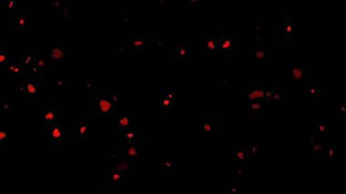 Sevgililer Günü yüksek kaliteli yeşil ekran efekti videoları