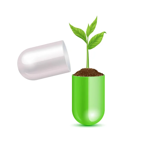 Semena Rostoucí Úrodné Půdy Pilulky Kapsle Otevřené Zelené Rostliny Droga — Stockový vektor
