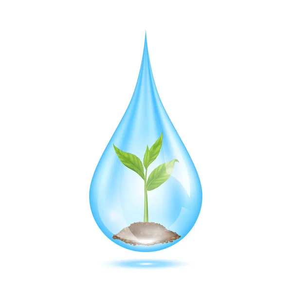 Piantina Verde Che Cresce Con Terreno Goccia Acqua Blu Protezione — Vettoriale Stock