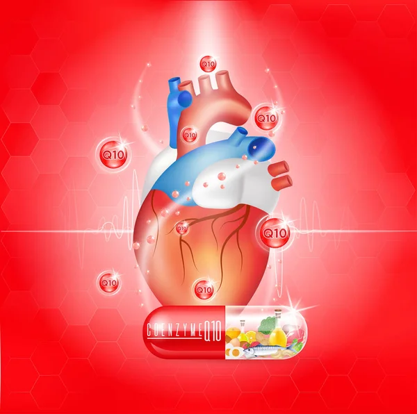 Coenzima Q10 Cuore Sostanza Mantenimento Dell Attività Cardiaca — Vettoriale Stock