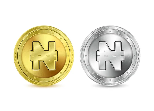 Nigerianische Naira Währung Goldmünze Ikone Der Währung Gold Und Silbermünze — Stockvektor
