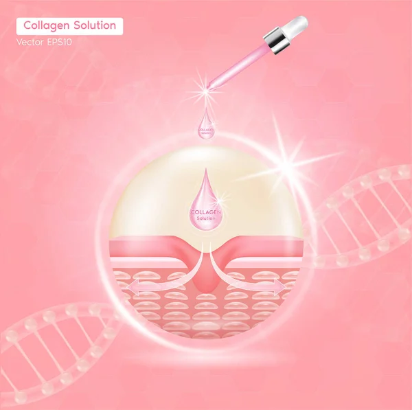 Δέρμα Νεότερο Βοήθεια Του Collagen Solution Διαφήμιση Διαλύματα Κολλαγόνο Ορού — Διανυσματικό Αρχείο