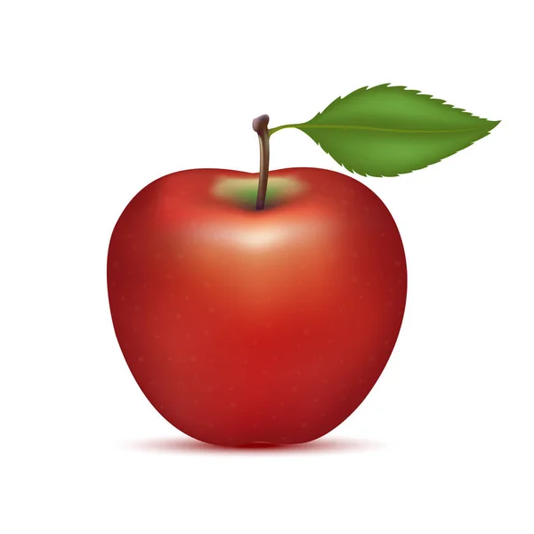 Apel Merah Dengan Apel Dan Daun Vitamin Buah Makanan Sehat - Stok Vektor