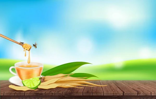 金银花新鲜蜂蜜和柠檬汁对健康有益 生姜草本植物饮料与新鲜根茎 烹调调料用蔬菜和香草 在木板上 现实的3D矢量 — 图库矢量图片