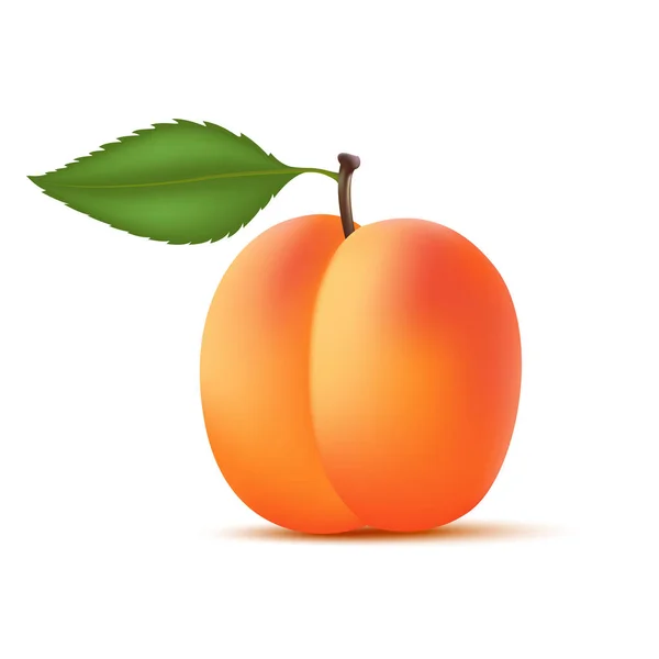 桃のスライスと葉で桃のオレンジ ビタミン 健康食品果物 白い背景で リアルな3Dベクトルイラスト — ストックベクタ