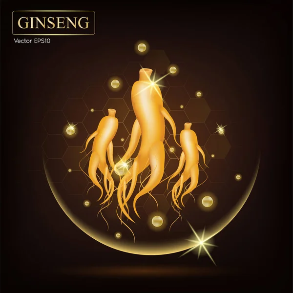 Ginseng Herbes Traditionnelles Chinoises Que Utilisation Pour Médecine Nourriture Célèbre — Image vectorielle