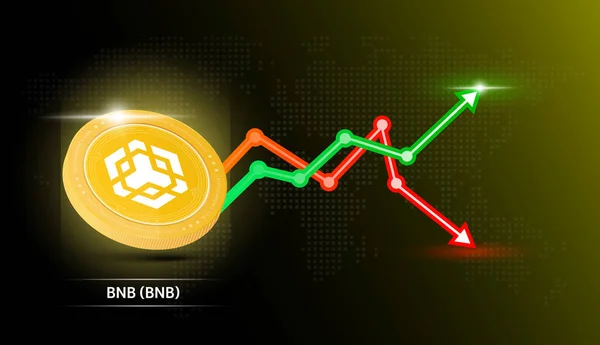 Bnb Moneda Amarilla Cryptocurrency Símbolo Simbólico Con Gráfico Comercio Inversión — Archivo Imágenes Vectoriales