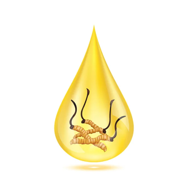 Cordyceps Gouden Waterdruppel Geïsoleerd Witte Achtergrond Premium Grade Voedingssupplement Voor — Stockvector