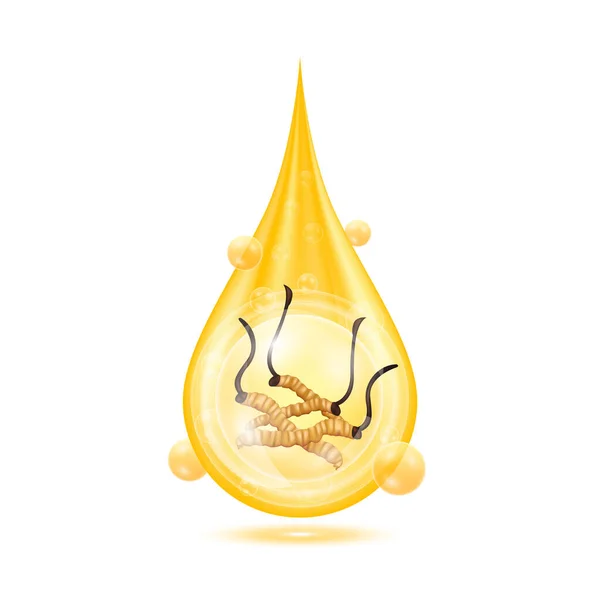 Altın Damlasında Kordisepsler Oksijen Kabarcıklarıyla Parlayan Portakal Suyu Vitaminleri Beyaz — Stok Vektör