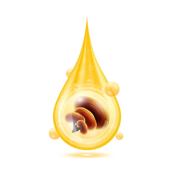 Altın Damlasında Reishi Mantarı Oksijen Kabarcıklarıyla Parlayan Portakal Suyu Vitaminleri — Stok Vektör