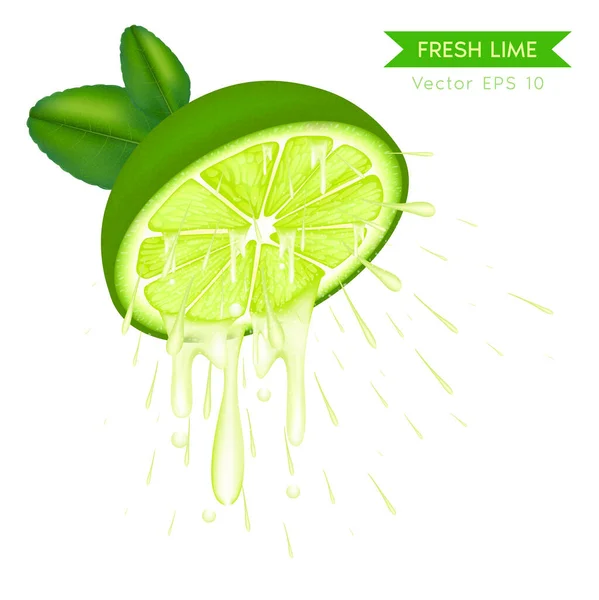 Realistische Halbfrische Limettenscheibe Mit Tropfen Saft Saftige Frucht Zitrone Vector — Stockvektor