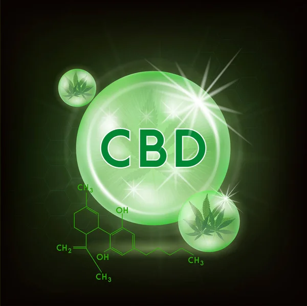 Zelené Marihuanové Listy Lékařské Byliny Cbd Cannabidiol Olej Konopí Produkty — Stockový vektor