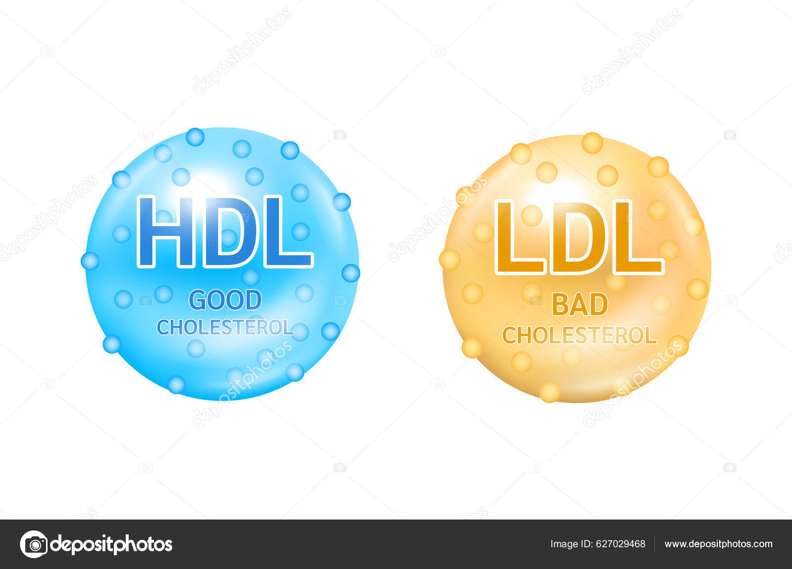Tipos Colesterol Com Hdl Bom Lipoproteína Alta Densidade Ldl Ruim