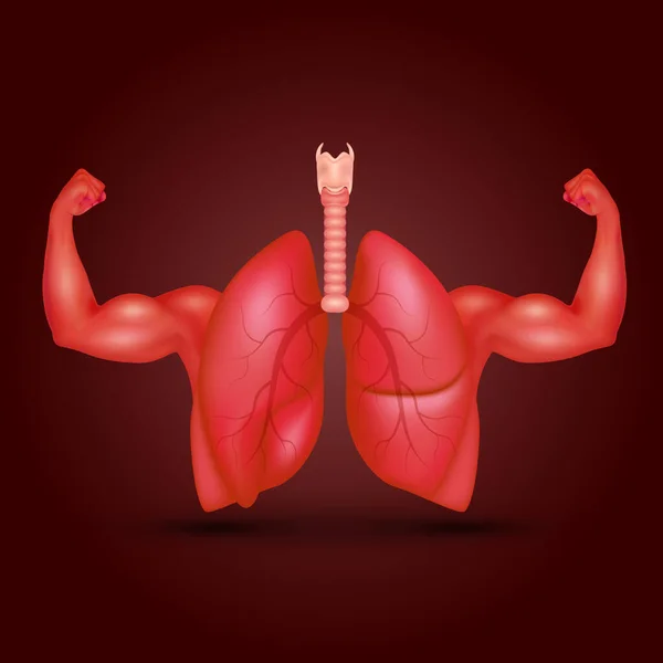 現実的な3Dベクトルスタイルで強い筋肉を示す腕を持つ強力な健康な人間の肺 運動や健康的な食品を食べる 健康診断のコンセプト — ストックベクタ
