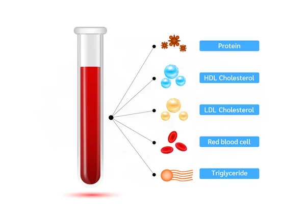 検査管内の血液検査コレステロール コレステロール計はHdlおよびLdlリポタンパク質と比較してスケールします 血流が正常だ 血液疾患の概念 ベクトルEps10 — ストックベクタ