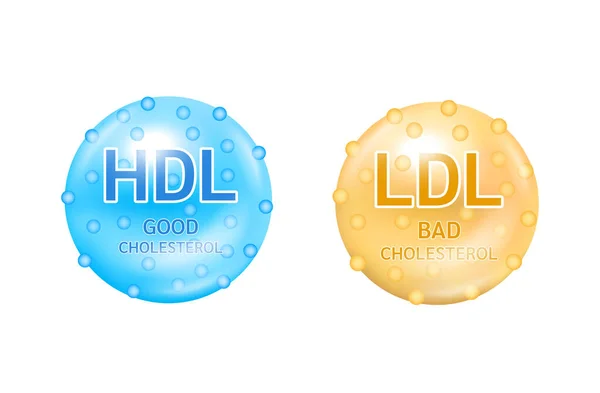 Types Cholesterol Good Hdl High Density Lipoprotein Bad Ldl Low — Stock Vector