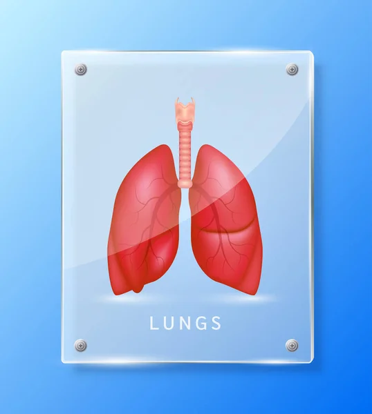 薬局の広告のための正方形の半透明のガラスパネル内の肺人間 診療所 病院のポスターバナーデザイン 医学の概念 現実的な3Dベクトル — ストックベクタ