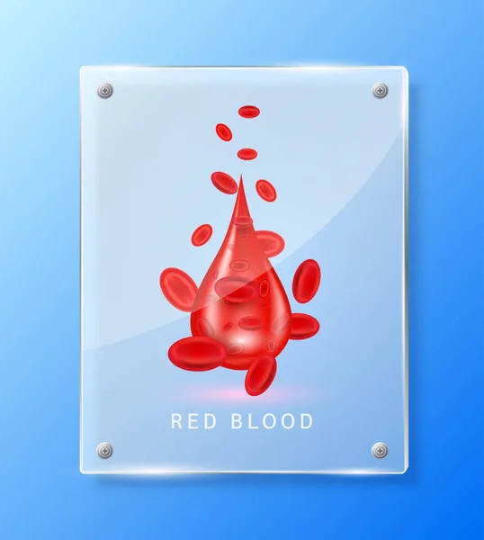 Rood Bloed Menselijk Vierkante Doorschijnende Glazen Panelen Voor Apotheek Reclame — Stockvector
