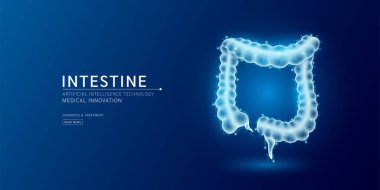 Web sitesi şablonu. İnsan bağırsağı anatomisi yarı saydam düşük polimer üçgenler. Koyu mavi arka planda parlak bir organ hologramı. Tıbbi yenilik tedavi konsepti. Sancak vektörü.