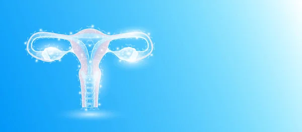 Female Uterus Anatomy Form Line Triangles Connecting Blue Background Futuristic — Stock Vector