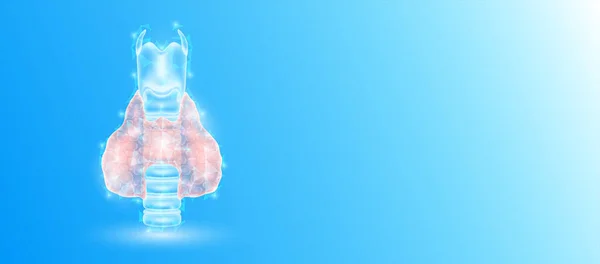ヒト甲状腺解剖学は 青色の背景に三角形を結ぶ線を形成する テキストのための未来的な光る器官のホログラム半透明の白とコピースペース 解剖学の概念 モダンなデザインベクトル — ストックベクタ