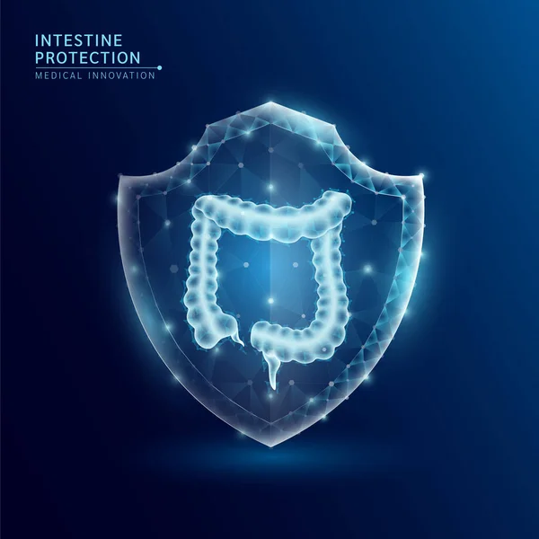 İnsan bağırsağı anatomisi organı yarı saydam düşük polyester üçgen kalkanın içinde fütüristik parlama. Koyu mavi arka planda. Dokunulmazlığı koruma tıbbi yenilik kavramı. Vektör EPS10.