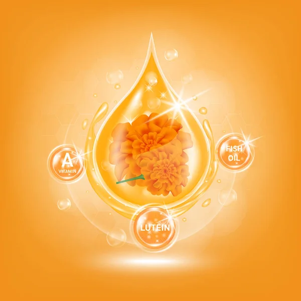 Оранжевый Комплекс Витамина Рыбное Масло Химической Формулой Мэриголд Питать Глаза — стоковый вектор