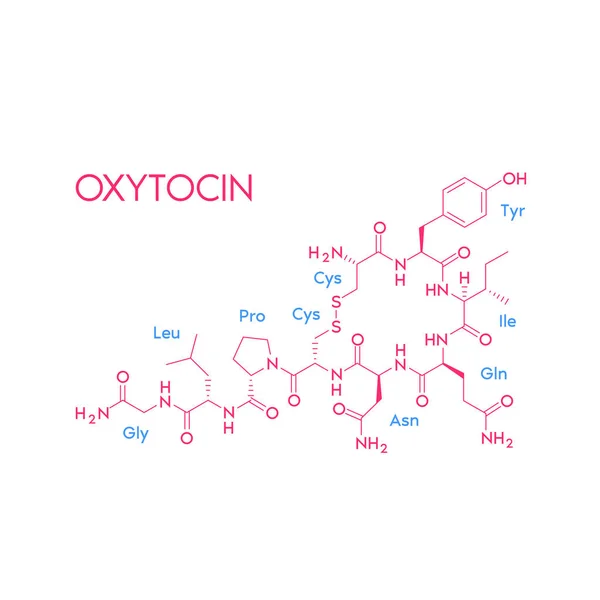 stock vector Oxytocin structural chemical formula isolated on white background. Hormone in human brain. Medical scientific concepts. Vector EPS10 illustration.
