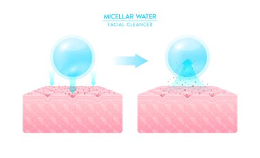 Deri hücrelerine Micellar su damlası. Mahzenle makyajı temizle. Yüz temizleyici, saf ve sağlıklı bir cilt. Toprak kozmetik solüsyonu, yüz bakımı gözenek temizliği. 3B vektör illüstrasyonu.