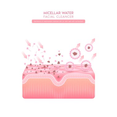 Mekanizmanın bir kısmı deri hücrelerindeki kiri yüzeyselleştiriyor. Mahzenle makyajı temizle. Kozmetik solüsyonu yüz bakımı gözenek temizleme ile mikiler su damlası. Yüz temizleyicisi çok sağlıklı. Vektör.