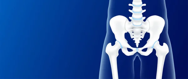テキスト用のコピースペースを持つ青い背景のヒップボーンとジョイント軟骨側 人間の骨格解剖学は健康である 医療医療科学コンセプト 現実的な3Dベクトル — ストックベクタ