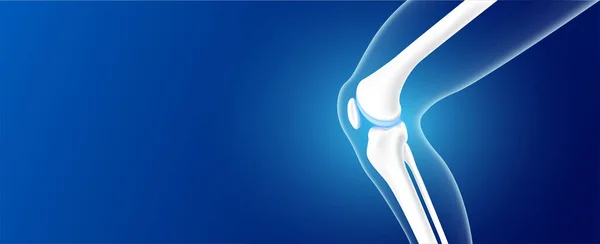 Ossa Delle Gambe Del Ginocchio Lato Cartilagine Articolare Sfondo Blu — Vettoriale Stock