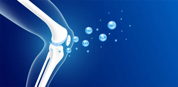 Vitamines Minéraux Calcium Zinc Magnésium Absorbés Dans Cartilage Osseux Anatomie — Image vectorielle