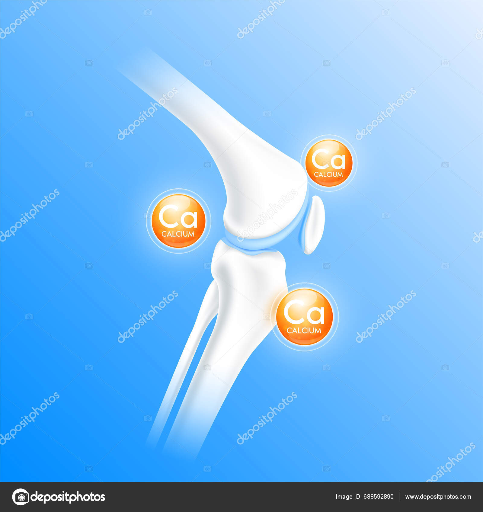 Calcium Orange Surround Bone Cartilage Vitamins Minerals Care Bone Knee