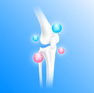 Kolajen pembesi ve kalsiyum mavi kemik kıkırdağı. Vitamin mineralleri diz eklemine iyi gelir. Sağlıklı insan iskeleti anatomisi mavi arka planda izole edilmiş. Gerçekçi 3B vektör.