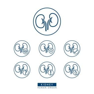 Sağlık ilanları veya web sitesi için basit bir böbrek ikonu taslak biçimi. Beyaz arkaplanda ikonlar izole edildi. Ünlem işaretli tıbbi insan organı soru işareti, haç ve gök gürültüsü. Vektör EPS 10.