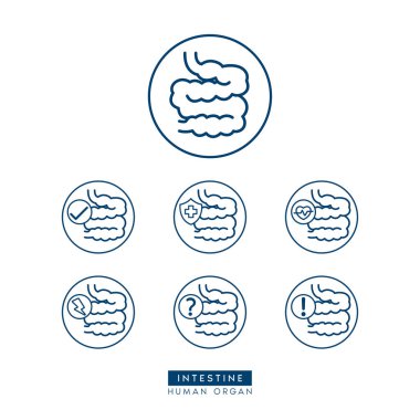 İnce bağırsak ikonu, sağlık hizmetleri reklamları ya da web sitesi için basit düz ana hatlı taslak. Beyaz arkaplanda ikonlar izole edildi. Ünlem işaretli tıbbi insan organı soru işareti, haç ve gök gürültüsü. Vektör EPS 10.